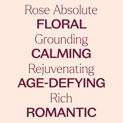 Rose Absolute Essential Oil 5 mL – Plant Therapy | 100% Pure