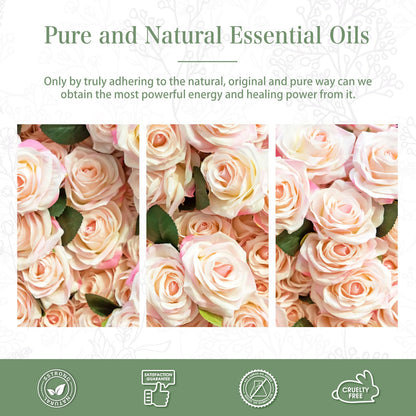 Rose Essential Oil 30ml | PHATOIL Pure Essential Oil for Diffusers & DIY