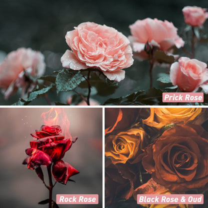 Rose Fragrance Oil Set | ESSLUX Floral Oils for Diffuser & Candles
