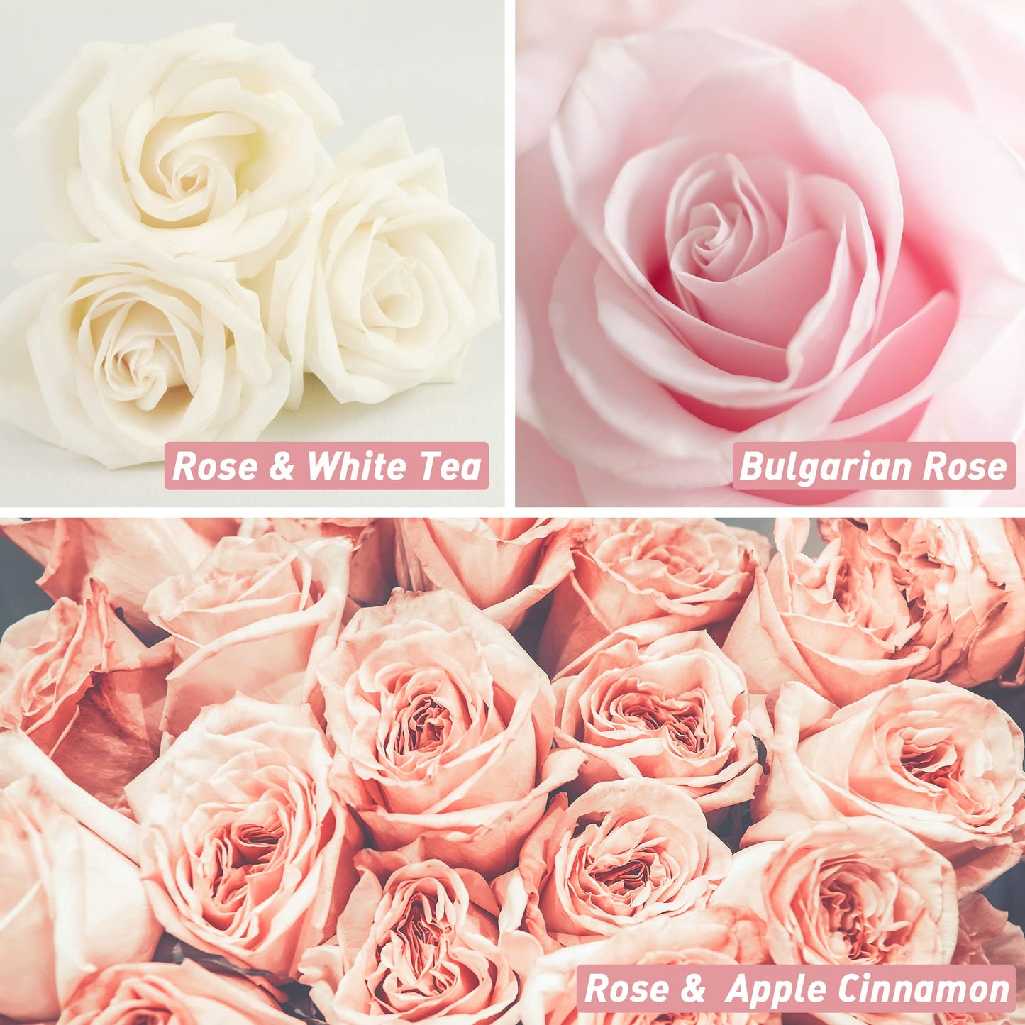 Rose Fragrance Oil Set | ESSLUX Floral Oils for Diffuser & Candles