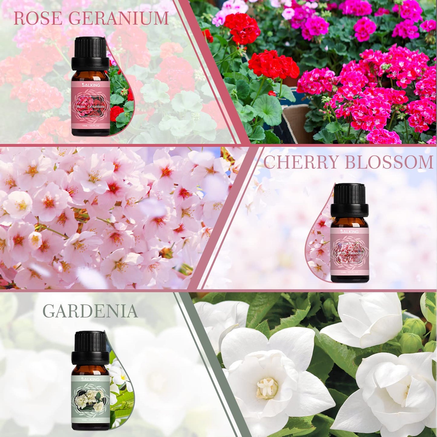 SALKING Spring Fragrance Oils Set | Premium Essential Oils Gift for Diffuser, Soap & Candle Making