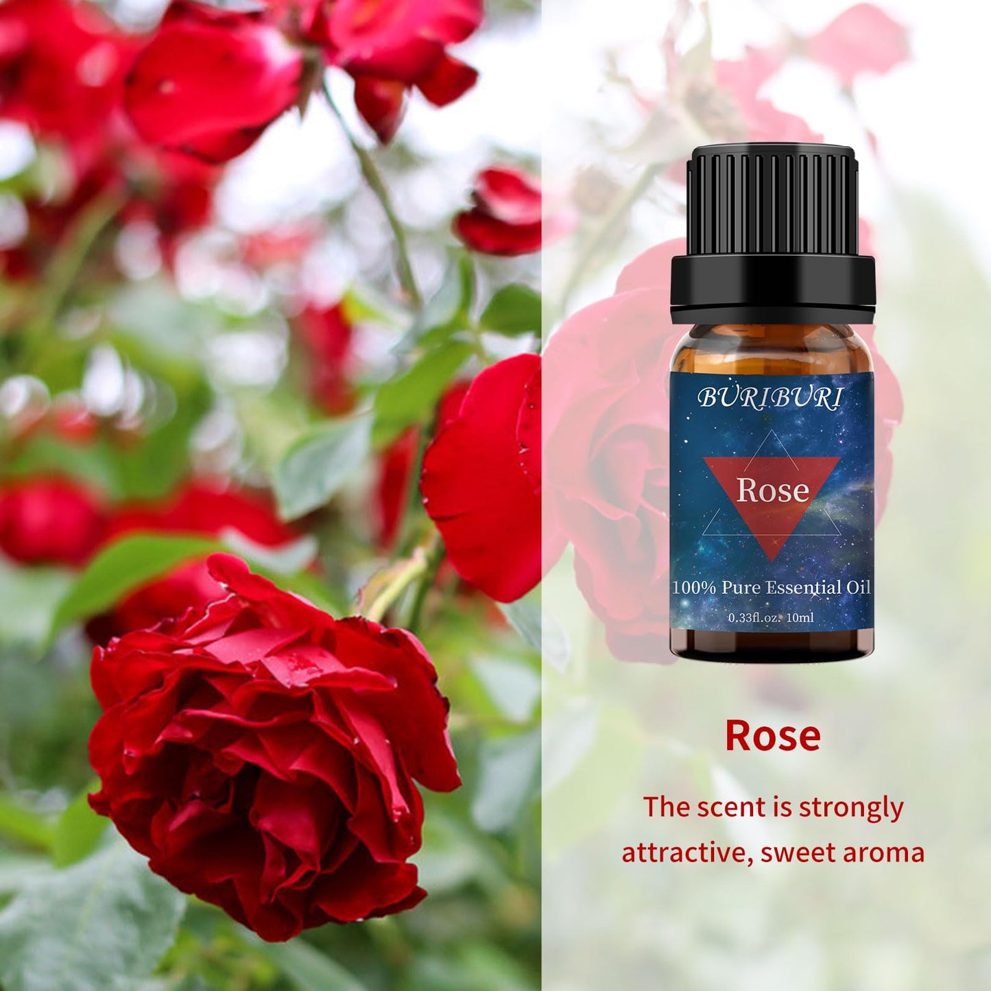 Rose and Sandalwood Essential Oil Gift Set – 100% Pure, Undiluted, Natural, Organic Aromatherapy, 10MLx2