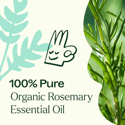 Plant Therapy Rosemary Essential Oil 100% Pure - USDA Organic, 10 mL