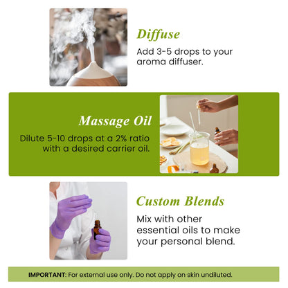 Handcraft Blends Rosemary Essential Oil – 0.33 Fl Oz | 100% Pure & Natural, Premium Grade