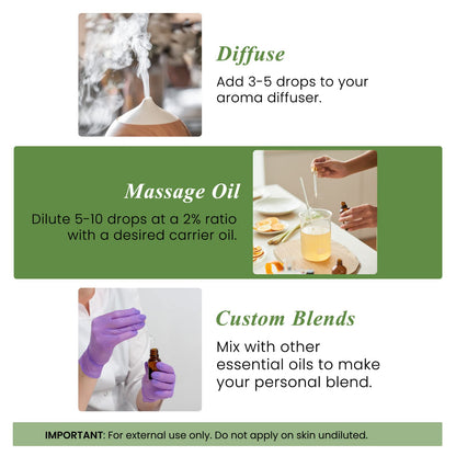 Handcraft Blends Rosemary Essential Oil – 4 fl oz – 100% Pure & Natural