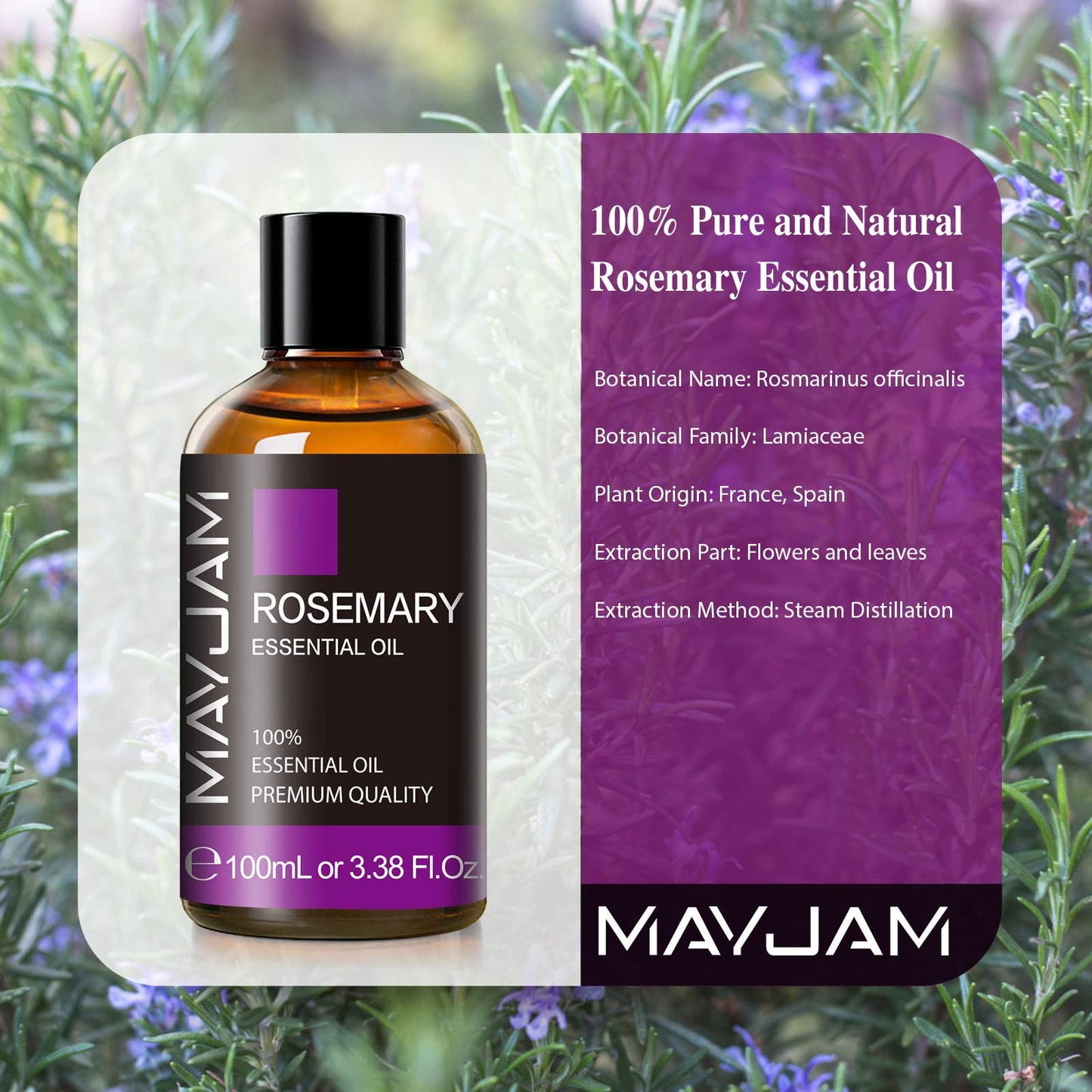 Rosemary Essential Oil with Dropper – MAYJAM Pure Rosemary Oil 3.38 fl oz | Aromatherapy & Diffusers