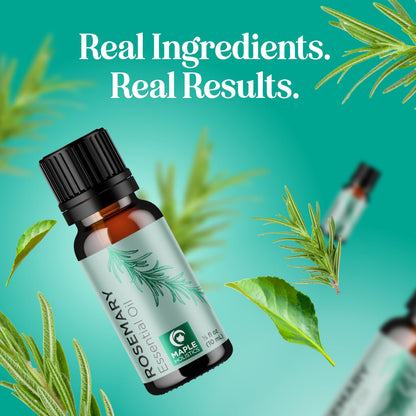 Pure Rosemary Essential Oil for Aromatherapy - Undiluted Rosemary Oil for Hair, Skin & Nails | Maple Holistics
