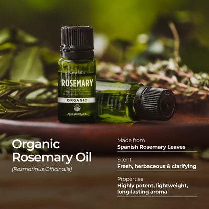 Gya Labs Organic Rosemary Essential Oil 0.34 Fl Oz - Hair, Skin, Diffuser