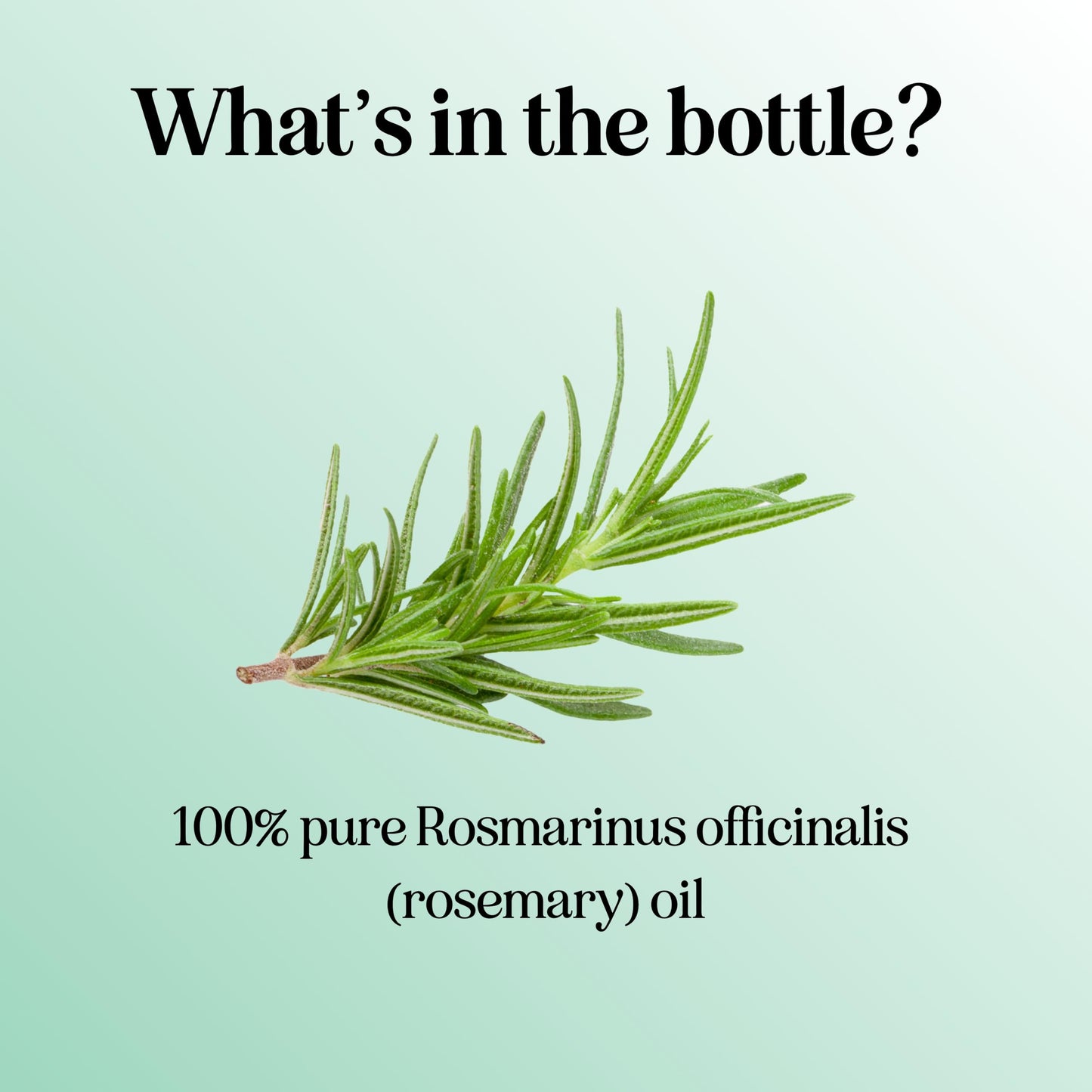 Pure Rosemary Oil for Hair, Skin & Nails | 100% Pure & Undiluted (1 fl oz)