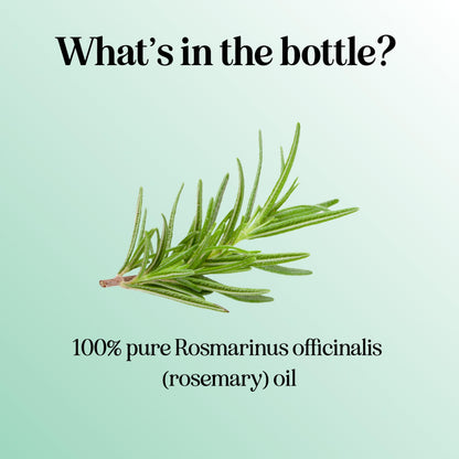 Pure Rosemary Oil for Hair, Skin & Nails | 100% Pure & Undiluted (1 fl oz)