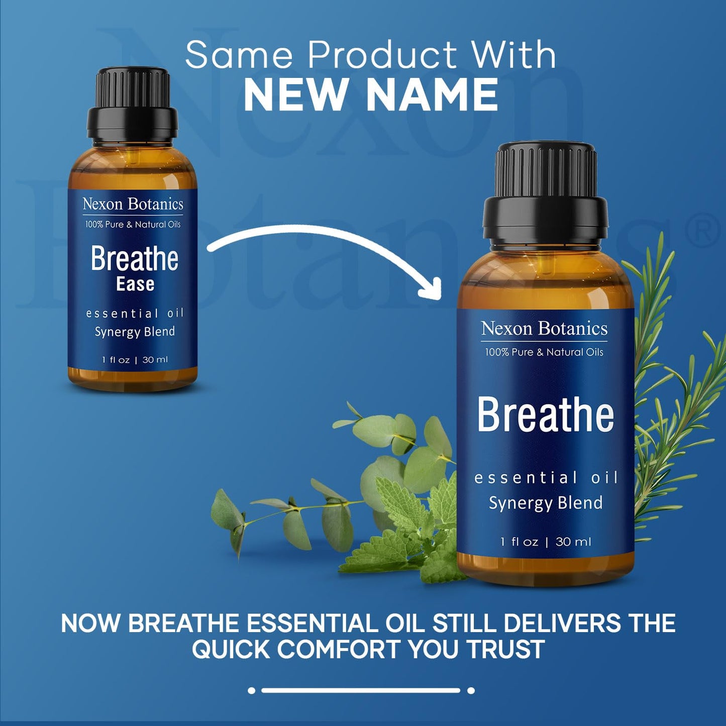 Breathe Essential Oil Blend 30 ml - Sinus Relief | Nexon Botanics