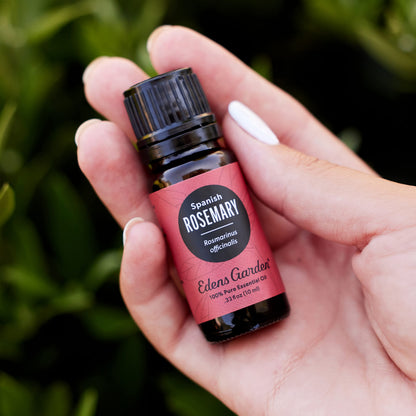 Edens Garden Rosemary Spanish Essential Oil – 30 ml | 100% Pure