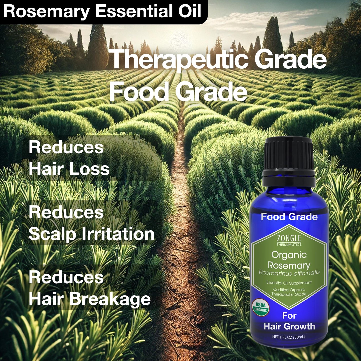 Organic Rosemary Oil – 100% Pure, Food Grade, Edible for Hair Growth | Zongle Therapeutics, 1 OZ
