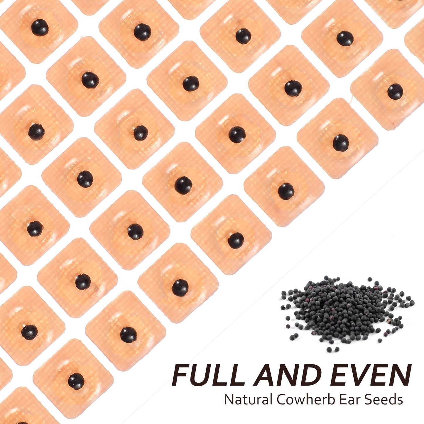ROSENICE 600 Counts Vaccaria Ear Seeds Kit – Disposable Ear Seeds for Acupressure (10 Sheets)