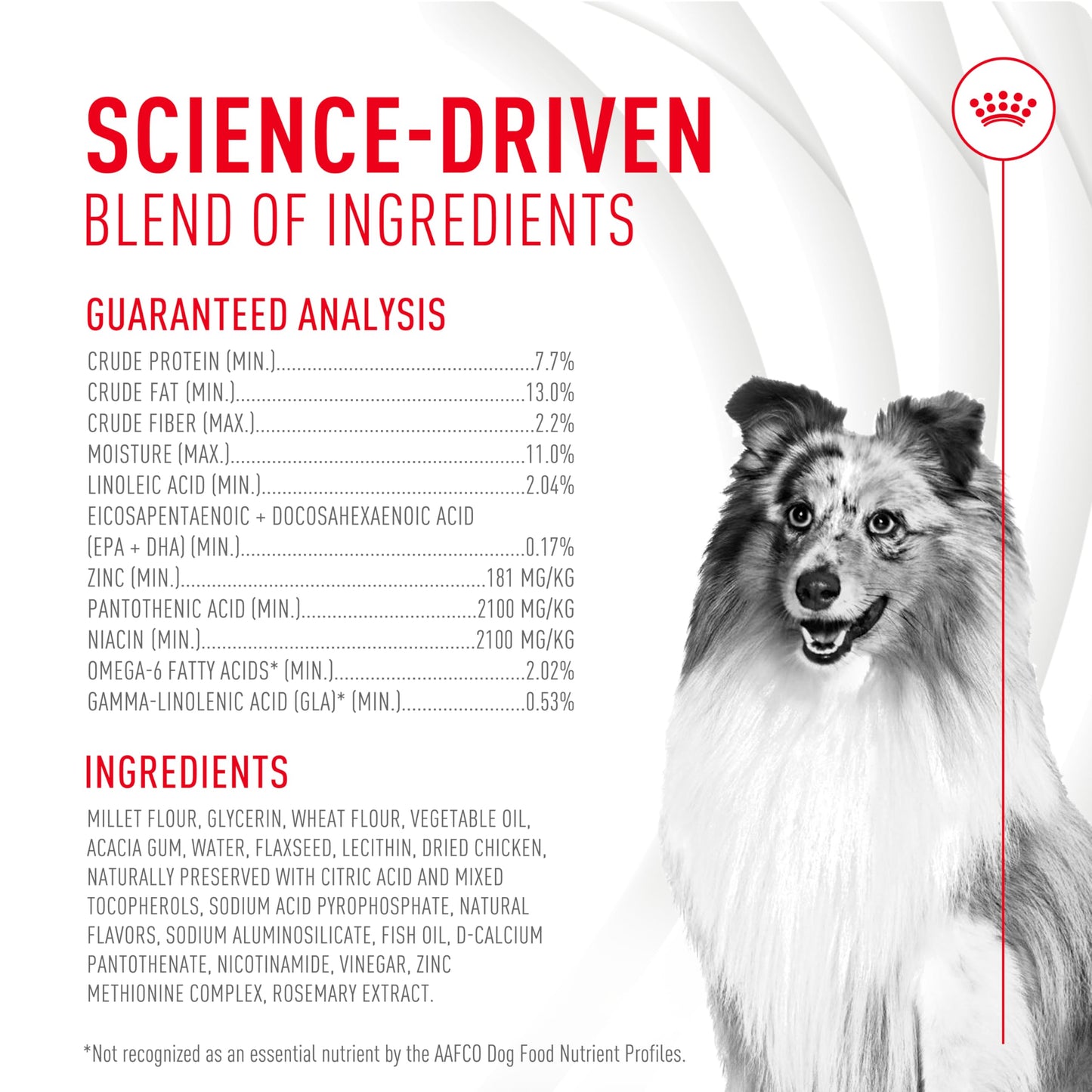 Royal Canin Skin & Coat Soft Chews for Adult Dogs – 60 Count