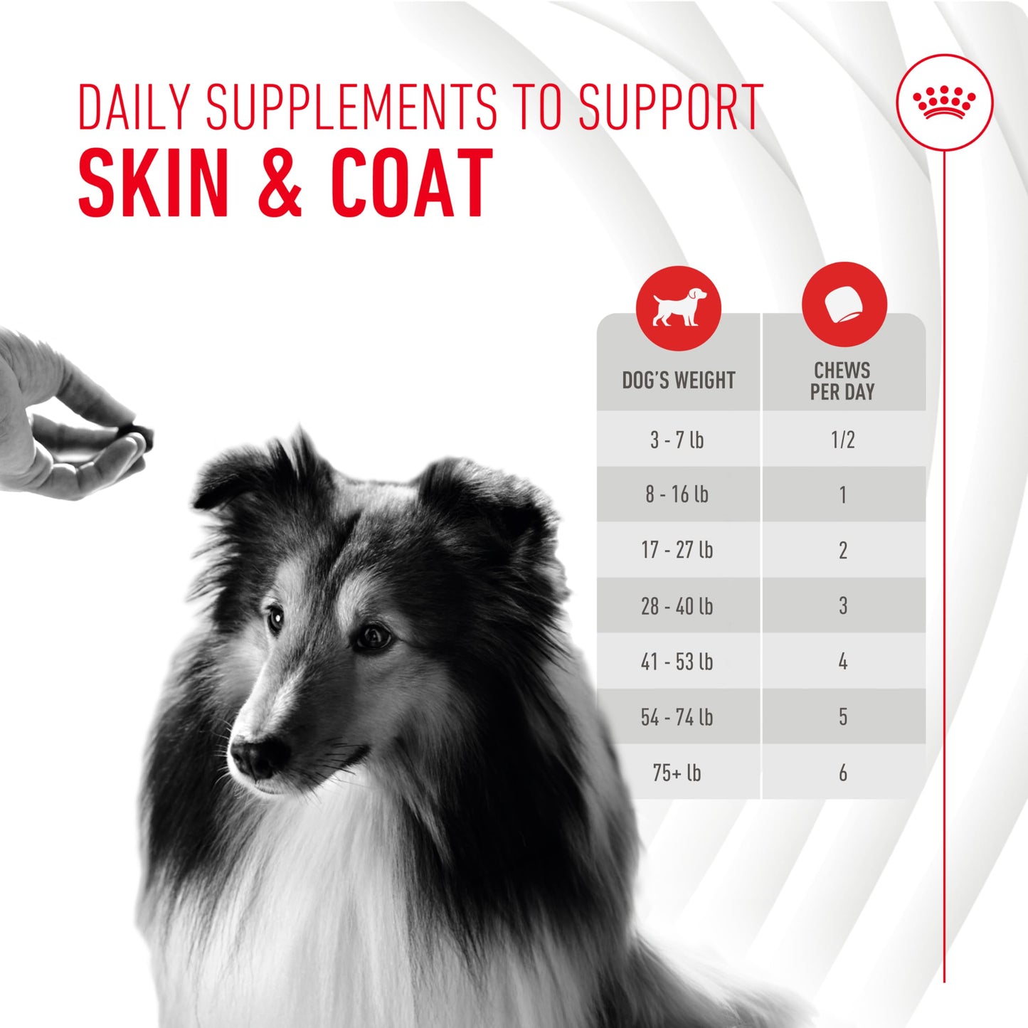 Royal Canin Skin & Coat Soft Chews for Adult Dogs – 60 Count