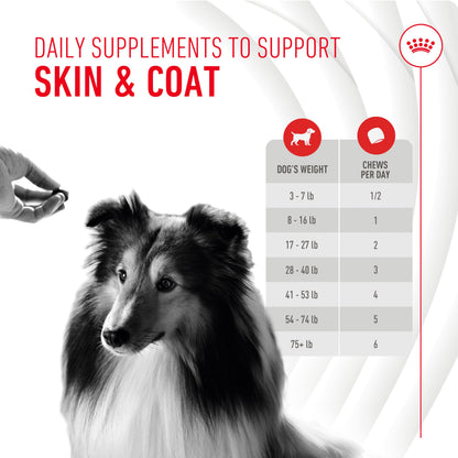 Royal Canin Skin & Coat Soft Chews for Adult Dogs – 60 Count