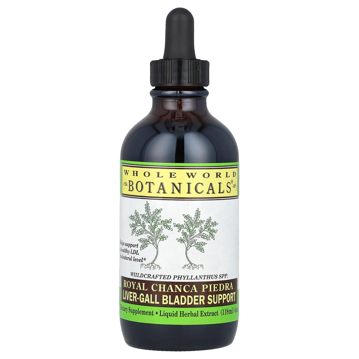Chanca Piedra Liver & Gall Bladder Support Liquid Extract – 4 oz | Whole World Botanicals