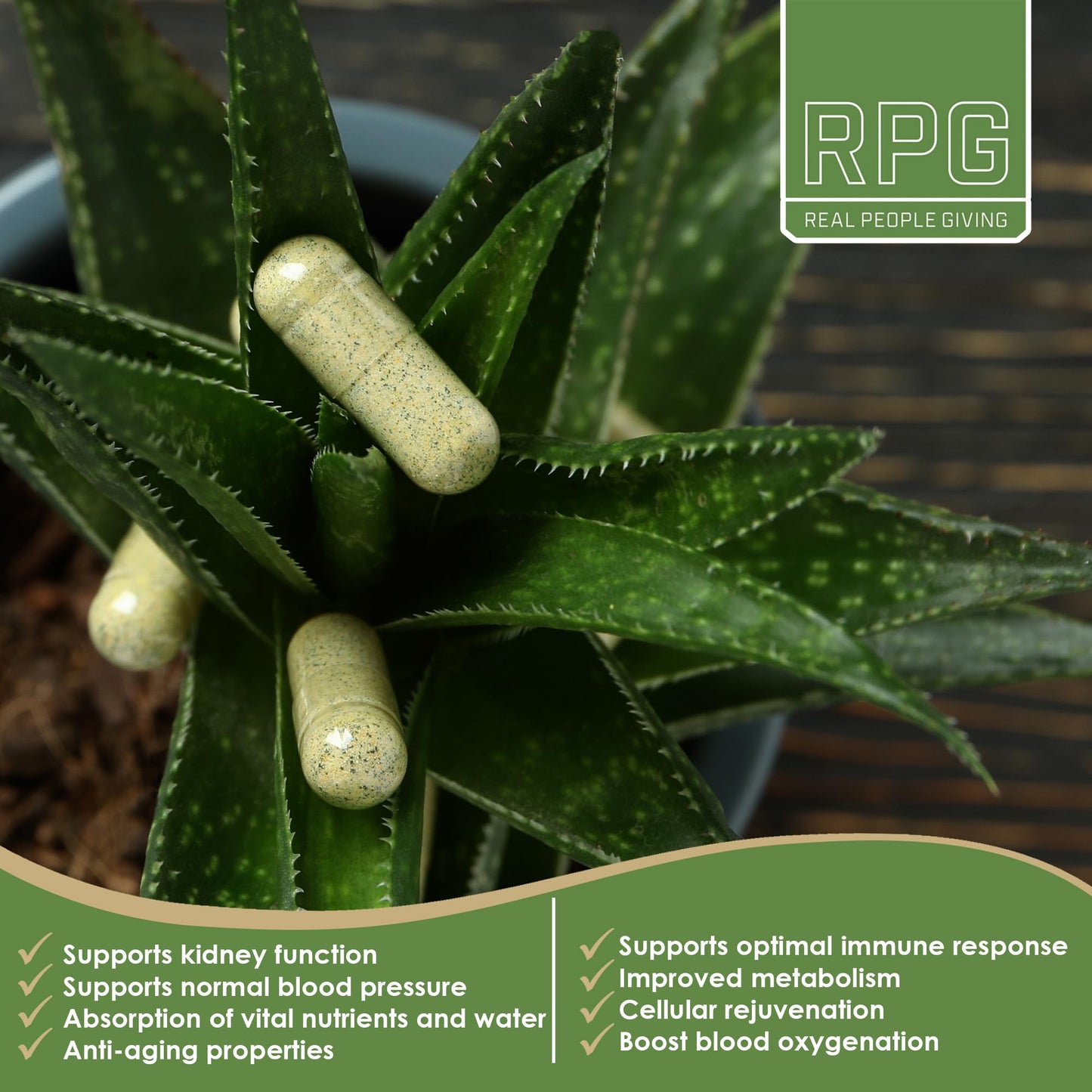 RPG Acemannan Aloe Vera Capsules - Immune & Gut Support | 60 x 250 mg