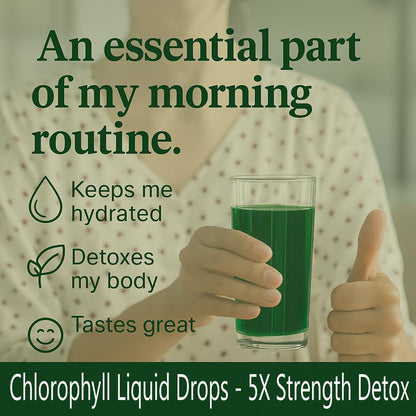 Ruolai Chlorophyll Liquid Drops – 5X Strength Detox & Deodorant | Mint Flavor, Vegan, Non-GMO, 2 Fl Oz