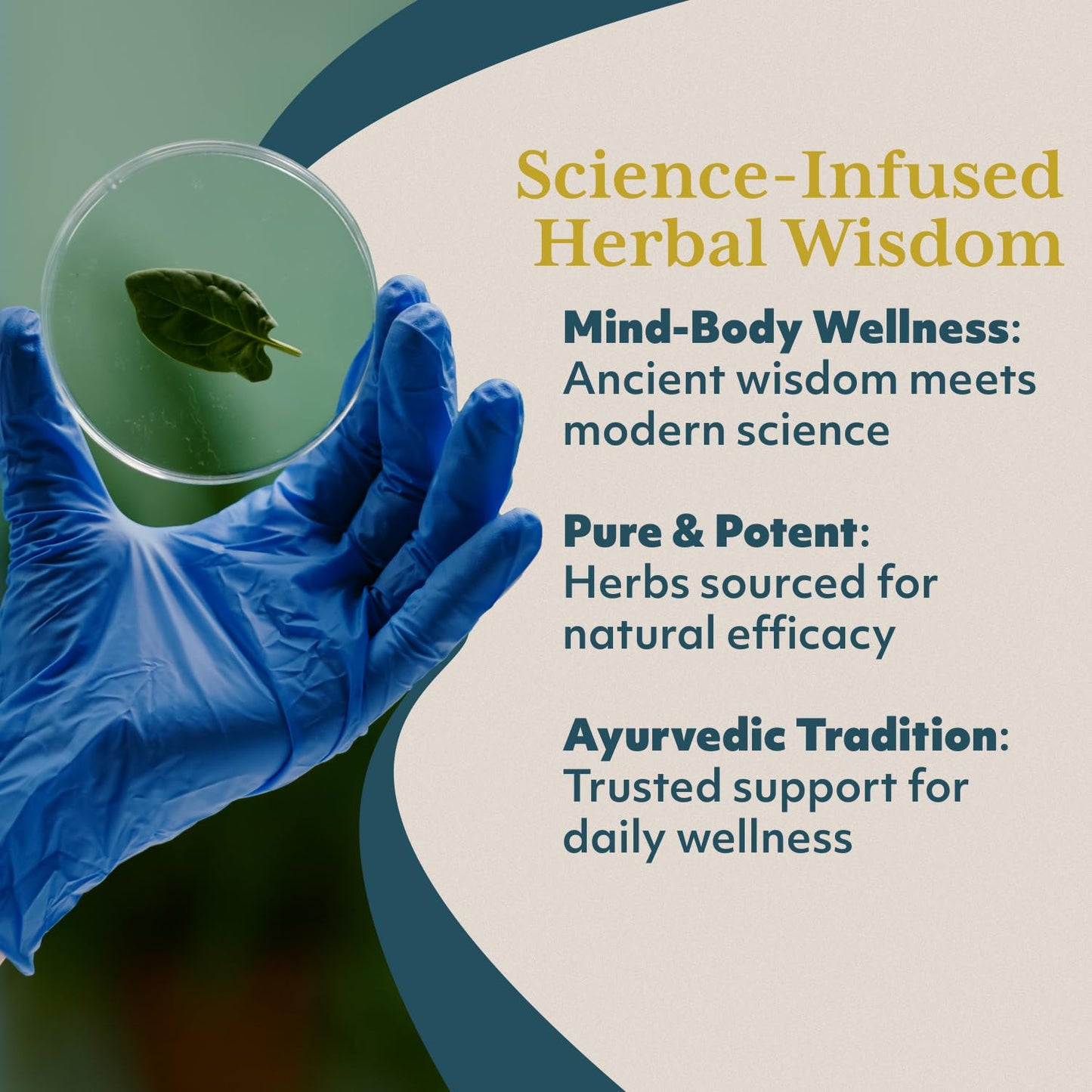 ruved Wellness Jam - Amla Jam with Honey, Immune & Digestive Support | Ayurvedic Amla & Ashwagandha