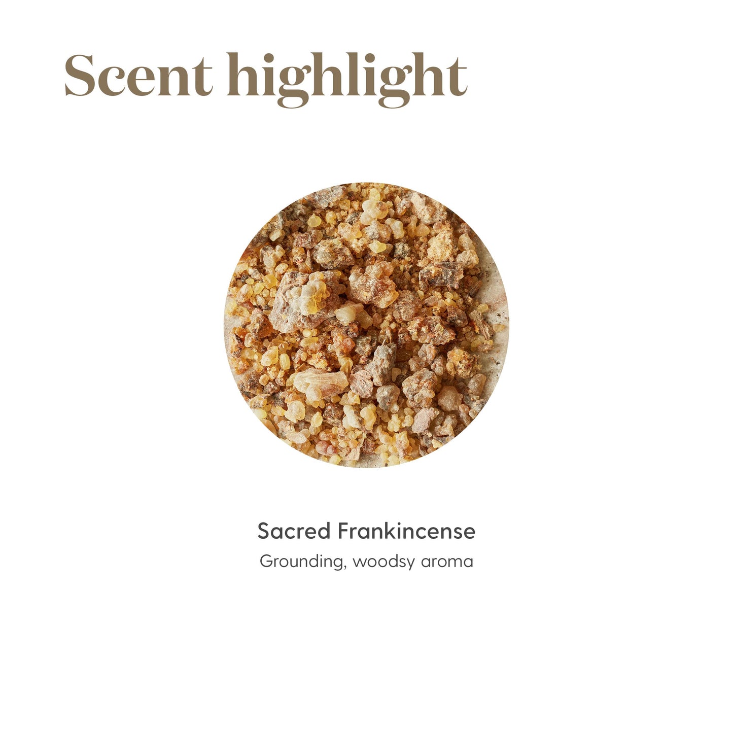 Young Living Sacred Frankincense Essential Oil 5ml – Grounding, Woodsy Aroma for Meditation & Yoga
