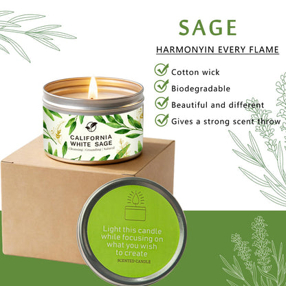 White Sage Candle 6 oz - 35 Hr Burn Time | Cleansing & Aromatherapy