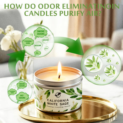 White Sage Candle 6 oz - 35 Hr Burn Time | Cleansing & Aromatherapy
