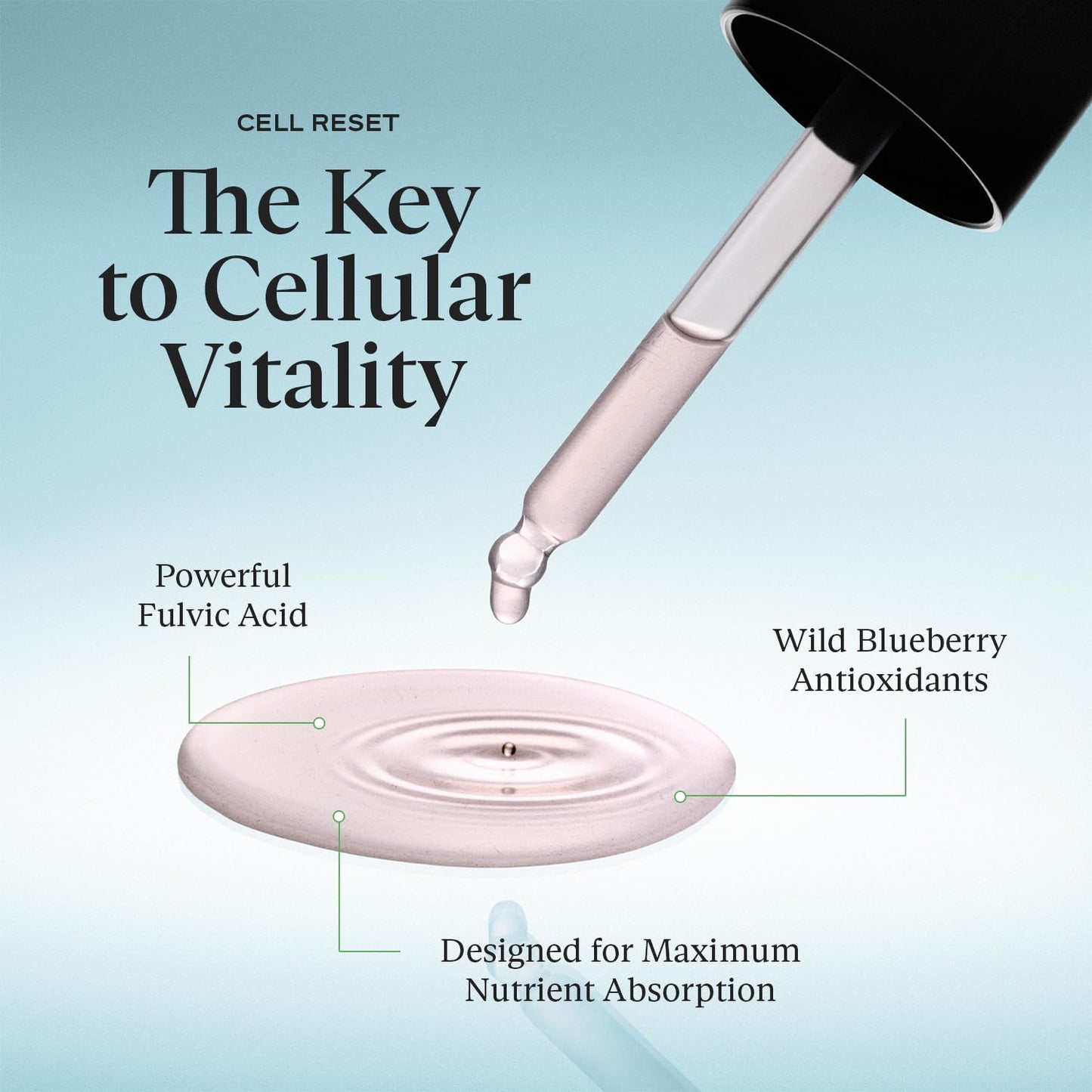SAKARA Cell Reset – Liquid Fulvic Acid Complex with Wild Blueberry & Lemon | Immune Support & Cellular Detox