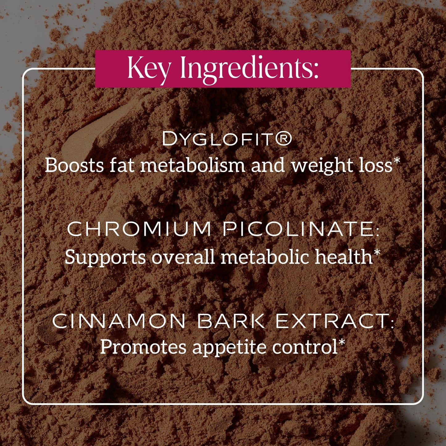 SAKARA Metabolism Super Powder – Appetite Control, Weight Management, Chocolate Flavor | Vegan & Non-GMO | 24 Servings