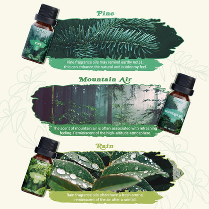 SALKING Nature Fragrance Oils – Premium Essential Oils Gift Set for Diffusers