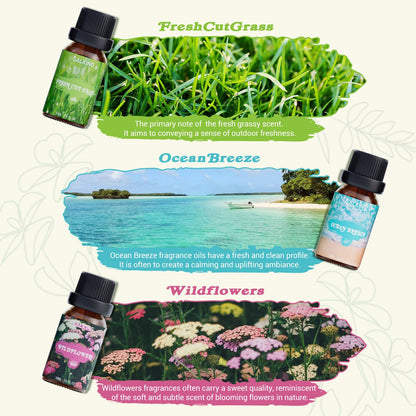 SALKING Nature Fragrance Oils – Premium Essential Oils Gift Set for Diffusers