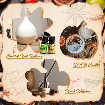 SALKING Spice Essential Oils Set – Premium Fragrance Oils for Diffuser, Soap & Candle Making