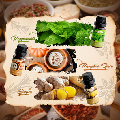 SALKING Spice Essential Oils Set – Premium Fragrance Oils for Diffuser, Soap & Candle Making