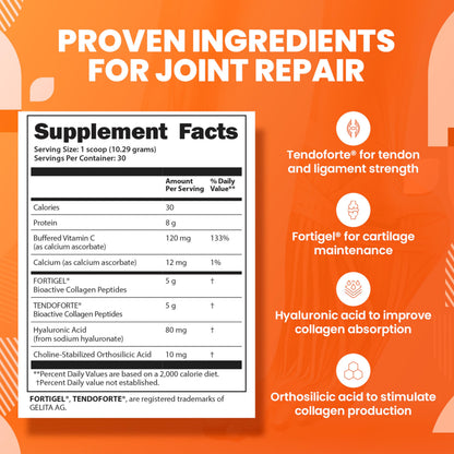 SaltWrap Collagen Synthesis - Joint Support with Fortigel & Tendoforte, NSF Certified for Sport