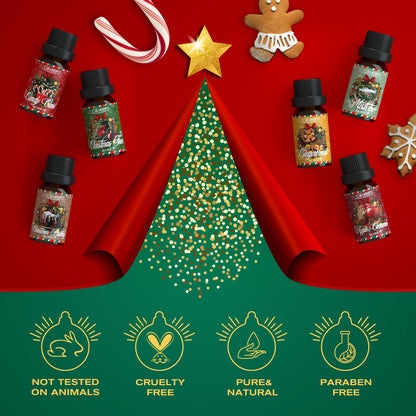 SALUBRITO Christmas Fragrance Oils Set - Winter Scents for Diffusers & Candles