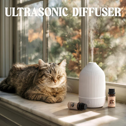 SALUBRITO Essential Oil Diffuser 100ml – Mini Ultrasonic, 7 LED Lights, Auto Shut-Off, White