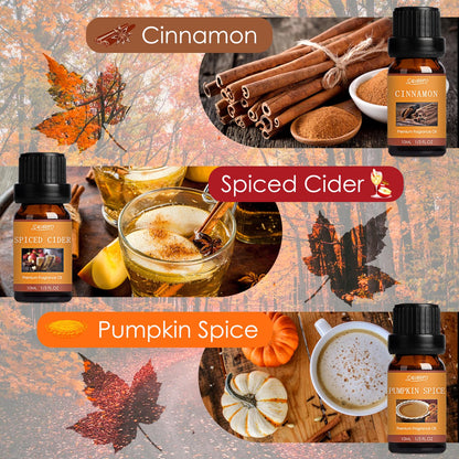 SALUBRITO Fall Fragrance Oils Set – 6x10ml Autumn Essential Oils for Diffuser, Candle Making & Aromatherapy