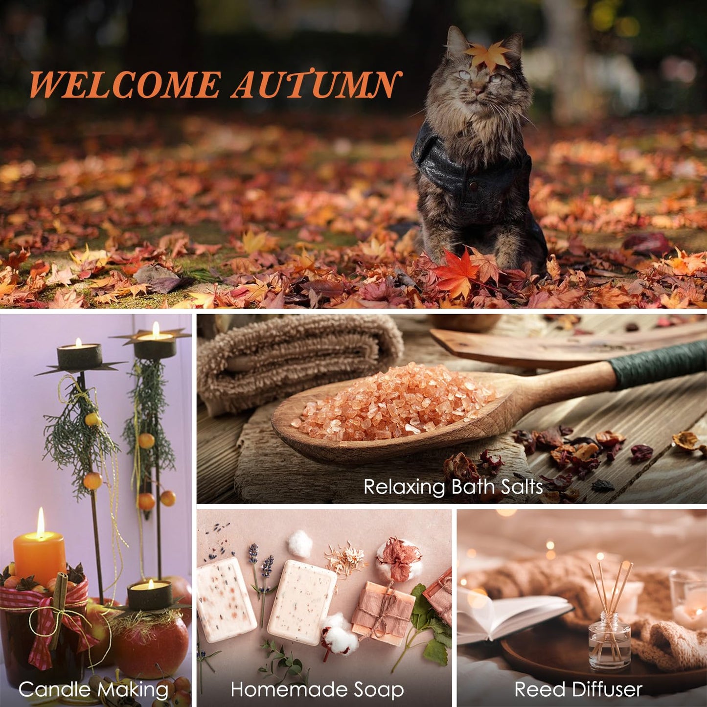 SALUBRITO Fall Fragrance Oils Set – 6x10ml Autumn Essential Oils for Diffuser, Candle Making & Aromatherapy