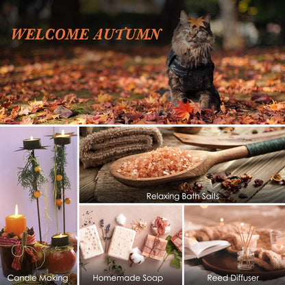 SALUBRITO Fall Fragrance Oils Set – 6x10ml Autumn Essential Oils for Diffuser, Candle Making & Aromatherapy