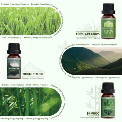 SALUBRITO Nature Fragrance Oils Set – Forest Pine, Ocean Breeze, Rain & Bamboo