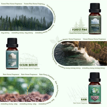 SALUBRITO Nature Fragrance Oils Set – Forest Pine, Ocean Breeze, Rain & Bamboo