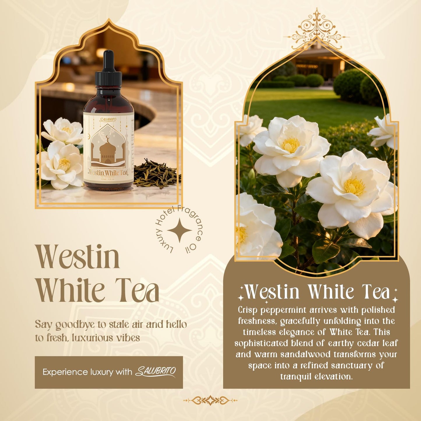 SALUBRITO W-Hotel White Tea Fragrance Oil - 4 Fl Oz (120ml), 5-Star Inspired
