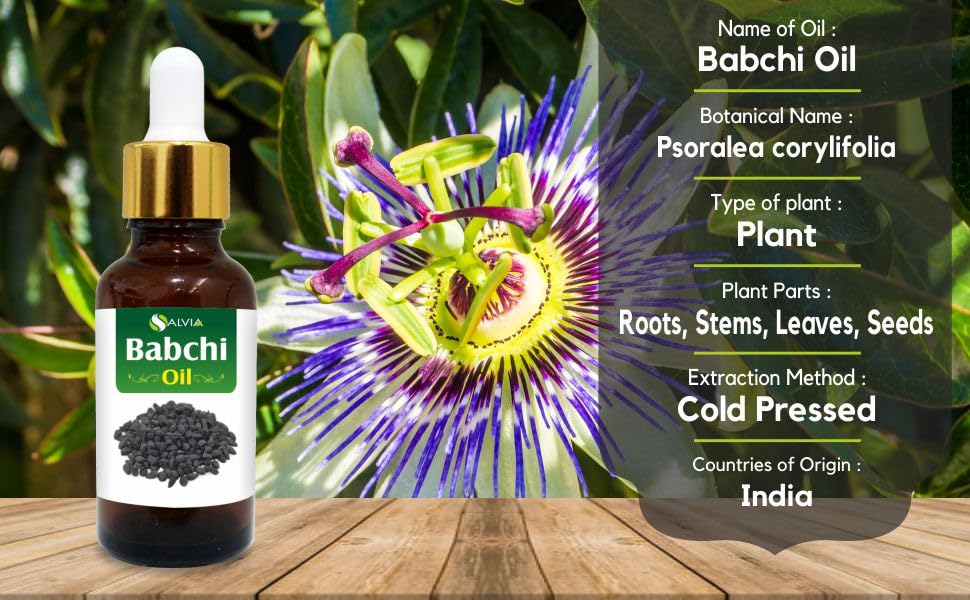 Salvia Babchi Oil (Psoralea Corylifolia) - Pure Cold-Pressed Carrier Oil 50 ml with Dropper | Therapeutic Grade