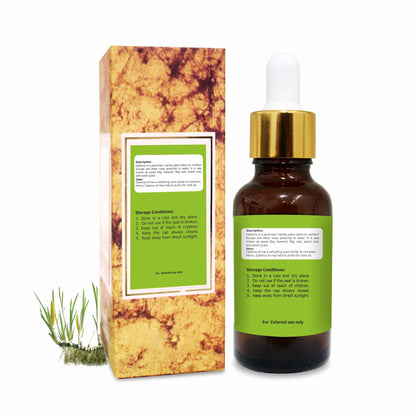 Salvia Calamus Oil (Acorus Calamus) – Therapeutic Essential Oil, 15ML | Steam Distilled