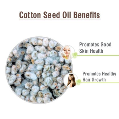 Salvia Cotton Seed Oil – 100% Pure & Natural Carrier Oil for Aromatherapy (100 ml)