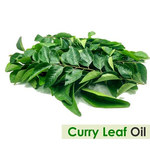 Salvia Curry Leaf Oil – 100% Pure & Natural Undiluted Essential Oil (15 ml) with Dropper | Premium Aromatherapy