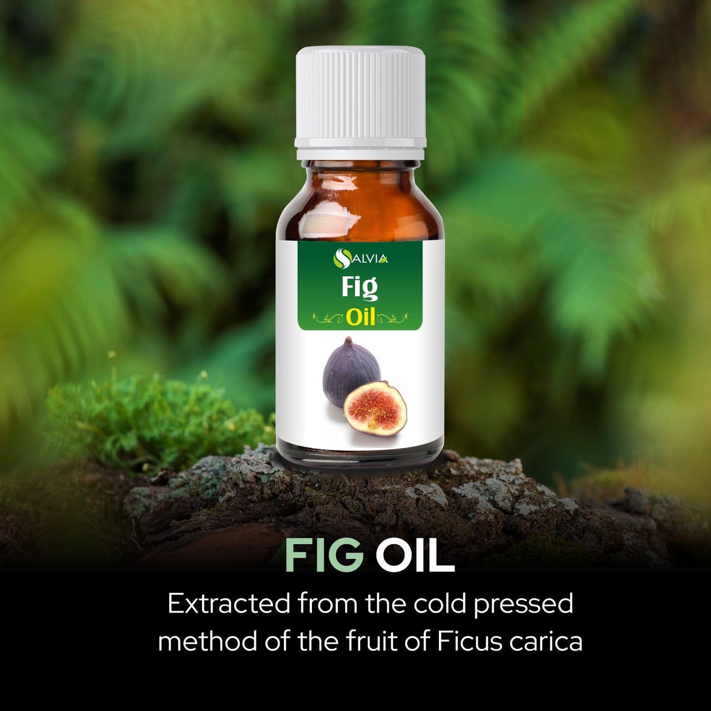 SALVIA Fig Oil Pure & Natural - 15 ml | Skin Care, Hair Care, Aromatherapy