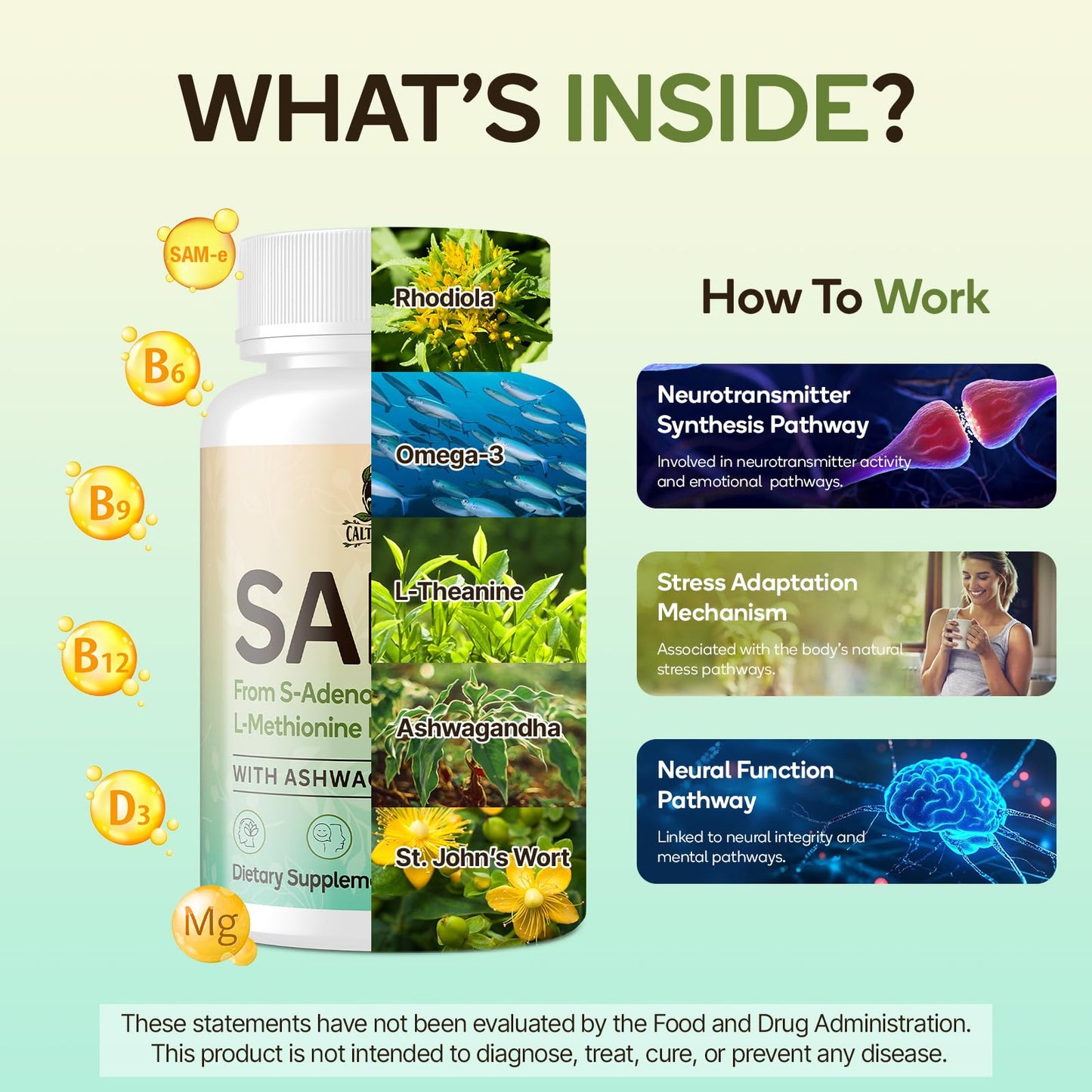 SAM-e Supplement – Capsule Complex with Ashwagandha, L-Theanine, Rhodiola, St. John’s Wort, Omega-3, Magnesium, B Vitamins & D3 (60 Capsules)