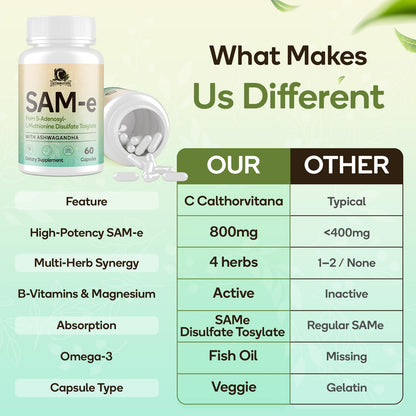 SAM-e Supplement – Capsule Complex with Ashwagandha, L-Theanine, Rhodiola, St. John’s Wort, Omega-3, Magnesium, B Vitamins & D3 (60 Capsules)